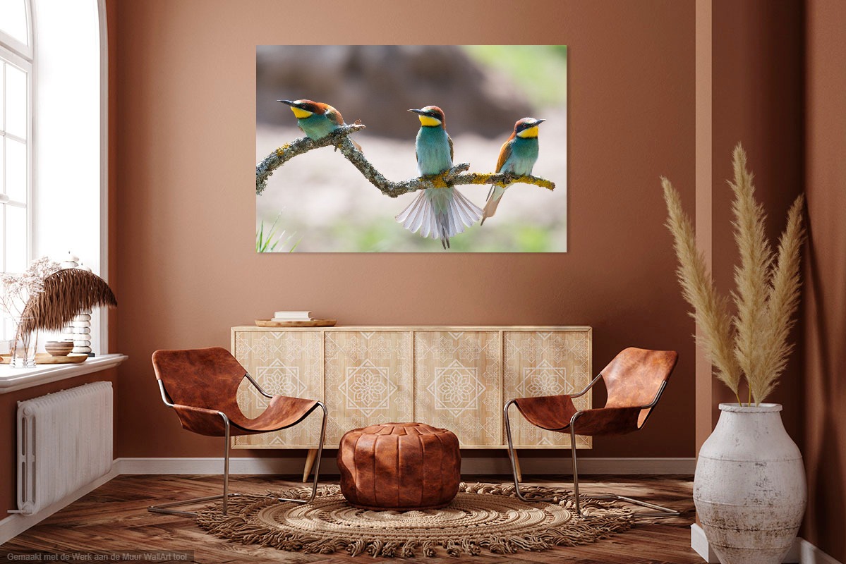 Werk aan de muur bee-eaters